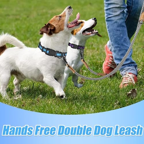 Mile High Life Double Dog Leash - Image 3