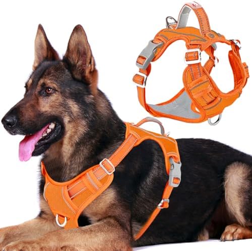 BARKBAY No Pull Dog Harness for Large Dogs, ID Tag Holder Dog Vest by BARKBAY