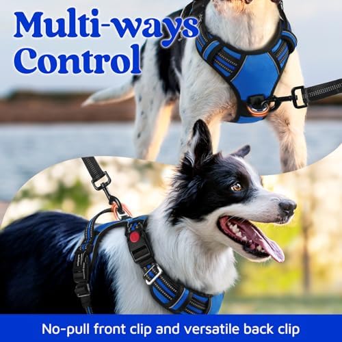 rabbitgoo Dog Harness Medium Sized, No Pull 3 Buckles Easy On & Off - Image 3