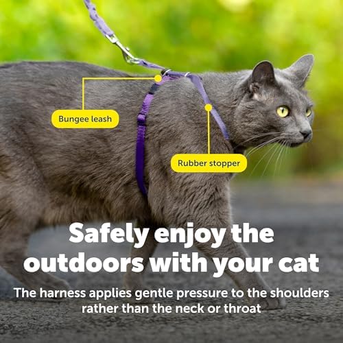 PetSafe Come with Me Kitty Harness and Bungee Cat Leash - Image 5