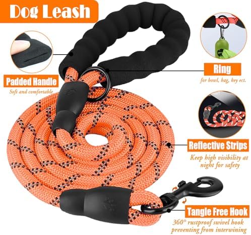 LOBEVE No Pull Dog Harness, Collar & Leash Set - Image 5