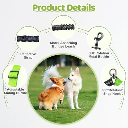 Double Dog Leash - Image 3