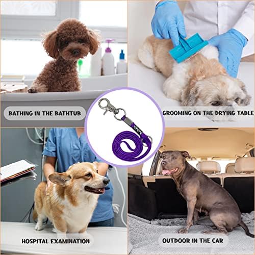 Pet Grooming Loop for Dogs - Image 5