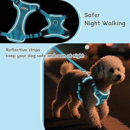 Small Dog Harness and Leash Set, Adjustable Small Sized Pet Vest - Image 4