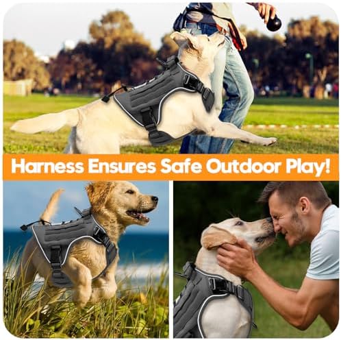 Heavy-Duty Tactical Dog Harness - Image 6