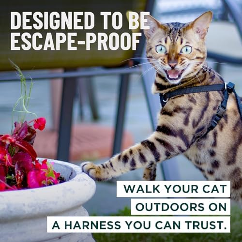OutdoorBengal Houdini™ Escape Proof Kitten Harness and Leash - Image 2