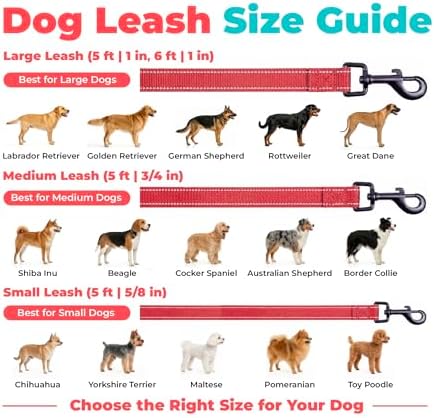 Best Pet Supplies Voyager Nylon Dog Leash - Image 6