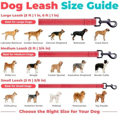 Best Pet Supplies Voyager Nylon Dog Leash - Image 6