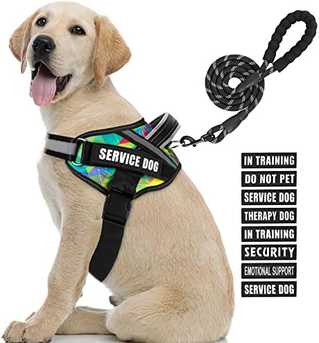 Service Dog Vest Harness and Leash Set, Animire in Training Dog Harness by Animire