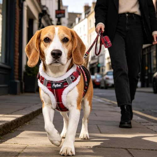 PUPTECK Dog Harness and Leash Set Medium Sized, Step in No Pull Adjustable - Image 6