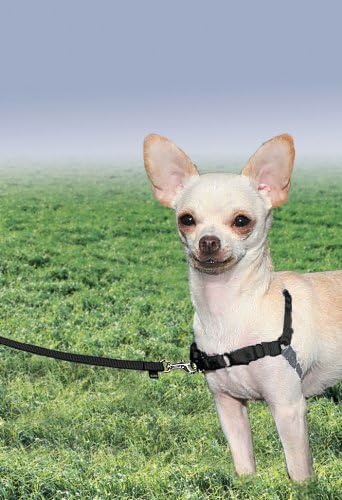 PetSafe Easy Walk Harness, No Pull Dog Harness - Image 2