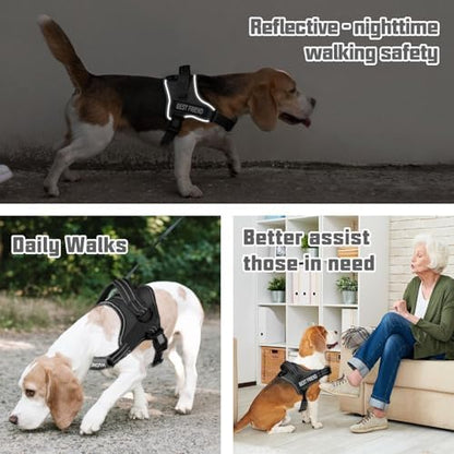 AUROTH Dog Harness and Leash Set - Image 6