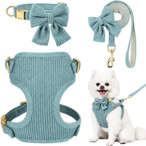 Small Dog Collar Harness and Leash Set by Unknown