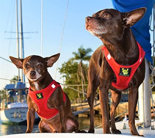 EcoBark Fully Adjustable Double Padded Step in Dog Harness - Image 4