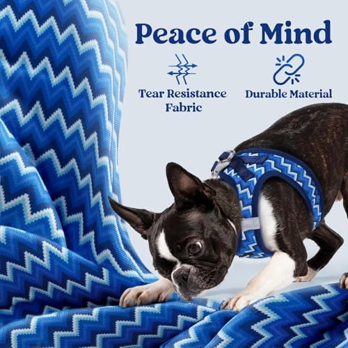 rabbitgoo Step-in Small Dog Harness, Puppy Vest - Image 4