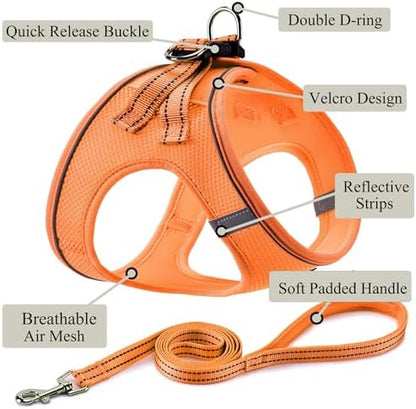 Dog Harness with Leash Set, Step-in Adjustable Puppy Pet Vest - Image 2