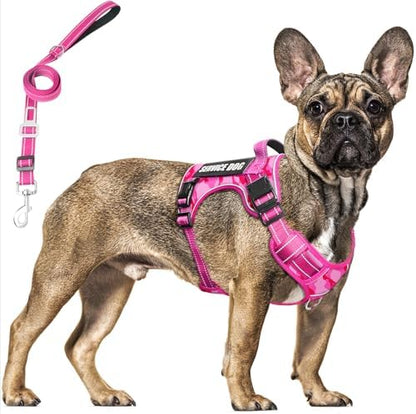 Tactical Dog Harness and Leash Set by MOOGROUPETSFRIEND