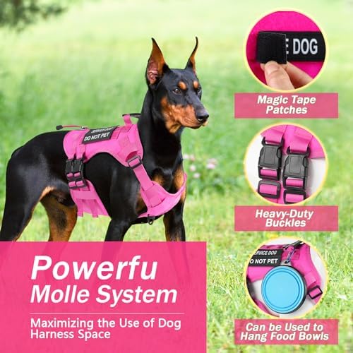 No Pull Tactical Dog Harness Small Sized Dog, Service Dog Vest - Image 3