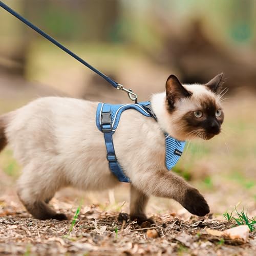 Cat Harness and Leash Set for Walking Escape Proof, Improved Four Place - Image 6