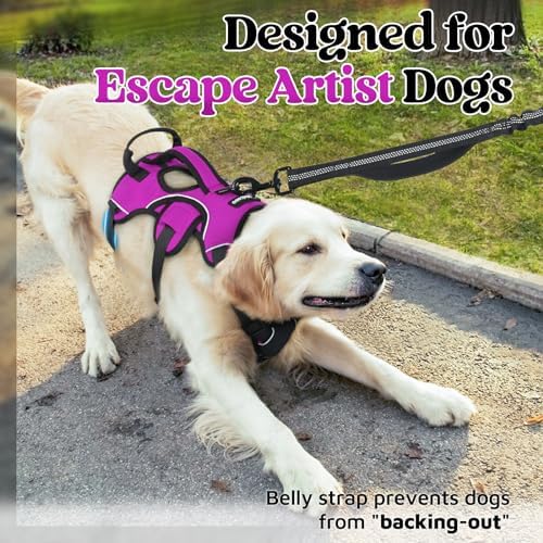 rabbitgoo Escape Proof Dog Harness - Image 2