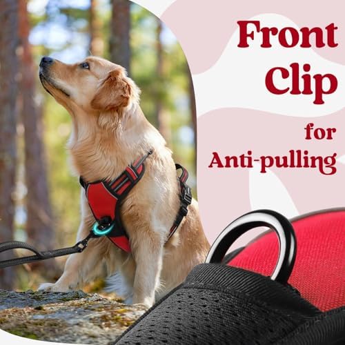 rabbitgoo Dog Harness for Large, Updated Easy On & Off - Image 6