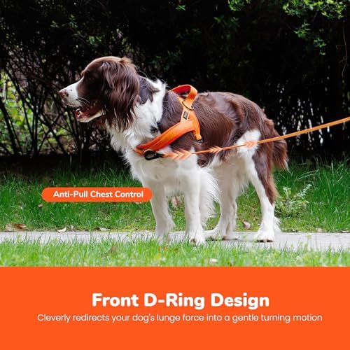 Didog No Pull Dog Harness for Large Dogs, Breathable Mesh Padded - Image 5