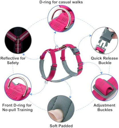 Plutus Pet No Pull Dog Harness, Adjustable Nylon Harness - Image 2