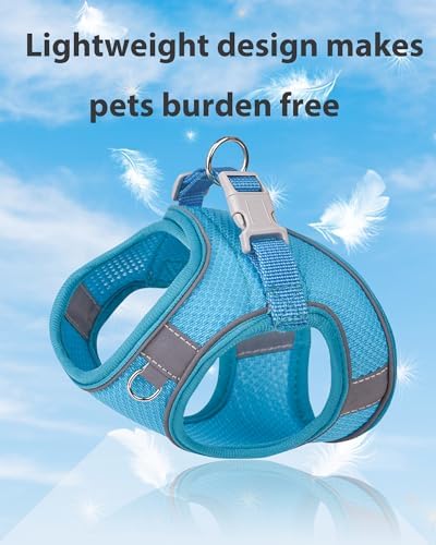 Dog Harness for Small Medium Sized Dog, Step in Puppy Harness and Leash Set - Image 3