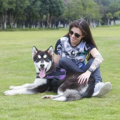 Bolux Dog Harness, No-Pull Reflective Dog Vest, Breathable Adjustable Pet - Image 6