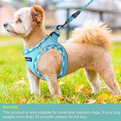 haapaw Dog Harness with Leash Set, No Pull Adjustable Reflective Step-in Puppy - Image 4
