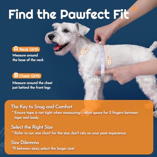 Eagloo Small Dog Harness and Leash Set, Step in Medium Small Puppy Pet Vest - Image 2