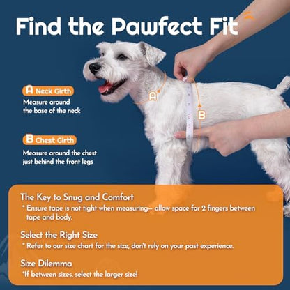 Eagloo Small Dog Harness and Leash Set, Step in Medium Small Puppy Pet Vest - Image 2