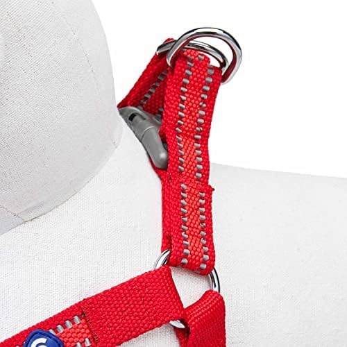 Blueberry Pet Essentials Step-in Reflective Back to Basics Dog Harness - Image 5