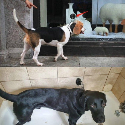 2Pack Suction Cup Hooks Cleat for Pet Dog & Cat Bathtub, Shower & Bathing Tether - Image 5