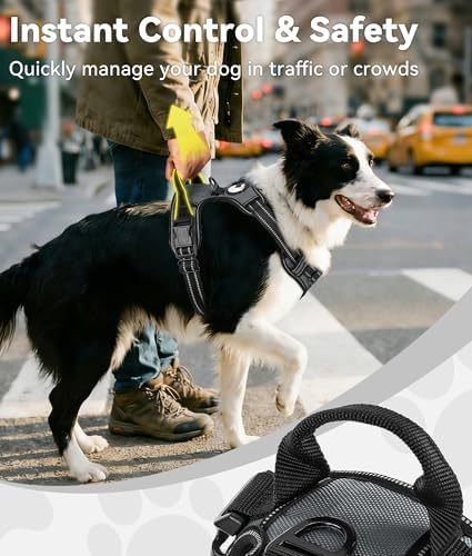 Joytale No Pull Dog Harness Medium Sized Dog, Front Clip - Image 3