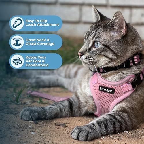 Voyager Step-in Lock Cat Harness & Leash Set - Image 5