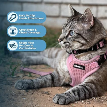 Voyager Step-in Lock Cat Harness & Leash Set - Image 5