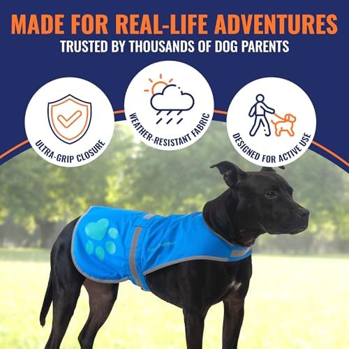 Reflective Dog Vest, Hi Vis Safety Gear - Image 4