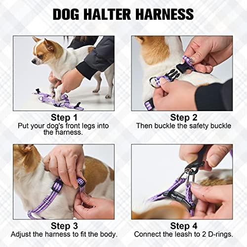 BEAUTYZOO No Pull Dog Harness and Leash Set - Image 6