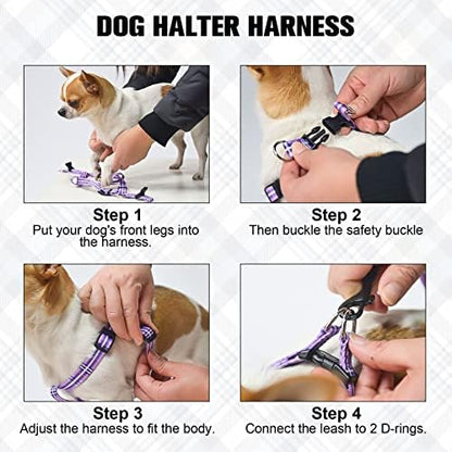 BEAUTYZOO No Pull Dog Harness and Leash Set - Image 5