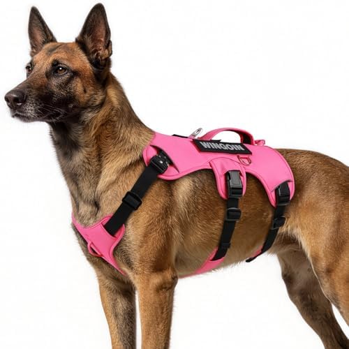WINGOIN Dog Vest Harness for Large Dogs, Hotpink L by WINGOIN