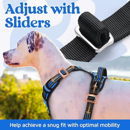 rabbitgoo Dog Harness Small Sized, No Pull 3 Buckles Easy On & Off - Image 5