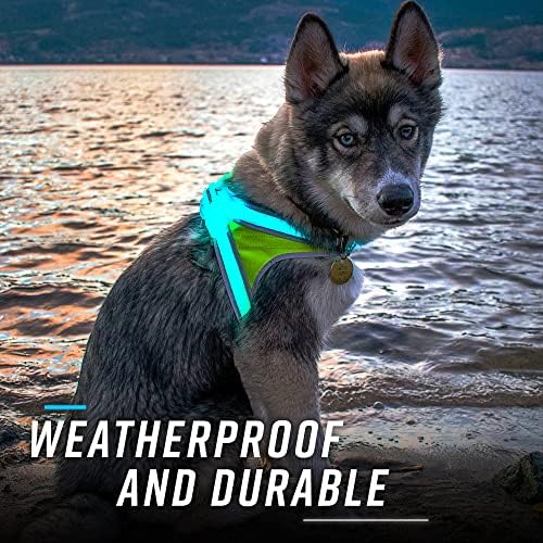 noxgear LightHound Light Up Reflective Dog Harness - Image 5