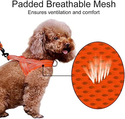 Plutus Pet No Pull Dog Harness for Medium Sized Dog, Breathable Mesh Padded - Image 3
