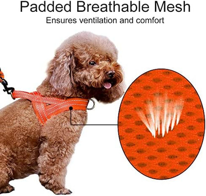 Plutus Pet No Pull Dog Harness for Medium Sized Dog, Breathable Mesh Padded - Image 3
