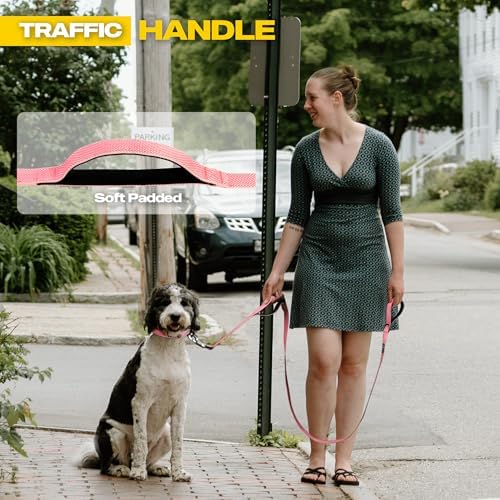 Fida 10 FT Heavy Duty Dog Leash, Dual Padded Handles - Image 4