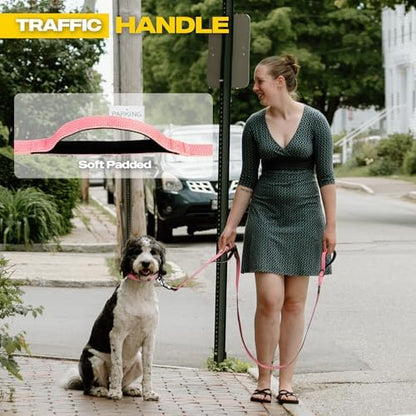Fida 10 FT Heavy Duty Dog Leash, Dual Padded Handles - Image 4