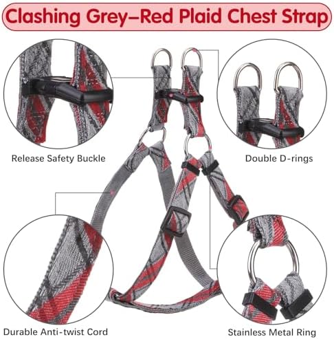 BINGPET No Pull Dog Harness Leash Collar Set, Adjustable Step-in Vest - Image 3