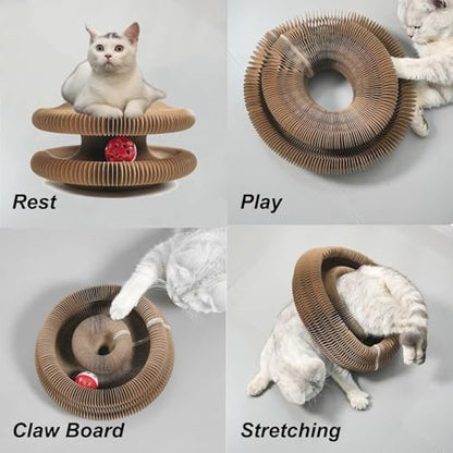 Kitty Curls Cat Toy, Cardboard Cat Scratcher, Magic Organ Cat Toy, Foldable - Image 6