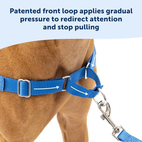 PetSafe Easy Walk Harness, No Pull Dog Harness, Charcoal Gray, Medium/Large - Image 3
